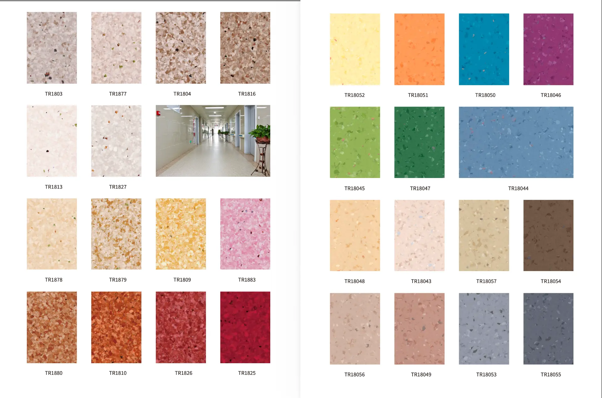 Tavola colori vinile: sabbia, rosa, rossi, giallo, arancio e tinte intense per segnaletica