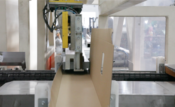 Packaging automatizzato